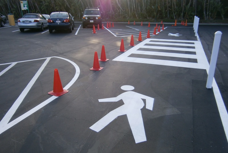 Crosswalk Disneyland Parking Lot 2