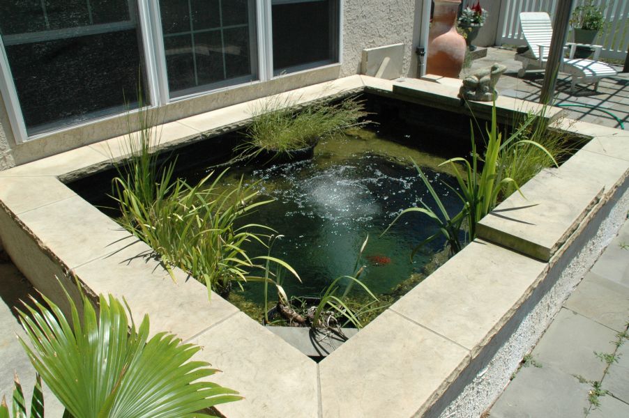 Water Features
