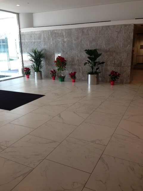 Rock Ledge Lobby
