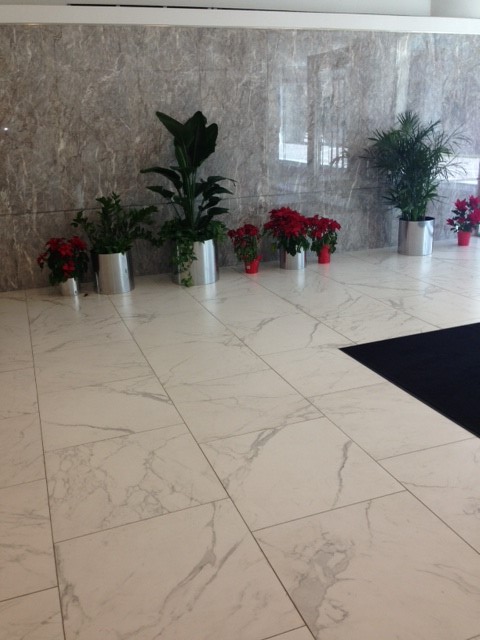 Rock Ledge Lobby