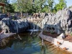 Denver Zoo Asian Tropics