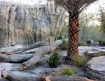 JACKSONVILLE ZOO AND GARDENS - LAND OF THE TIGER 