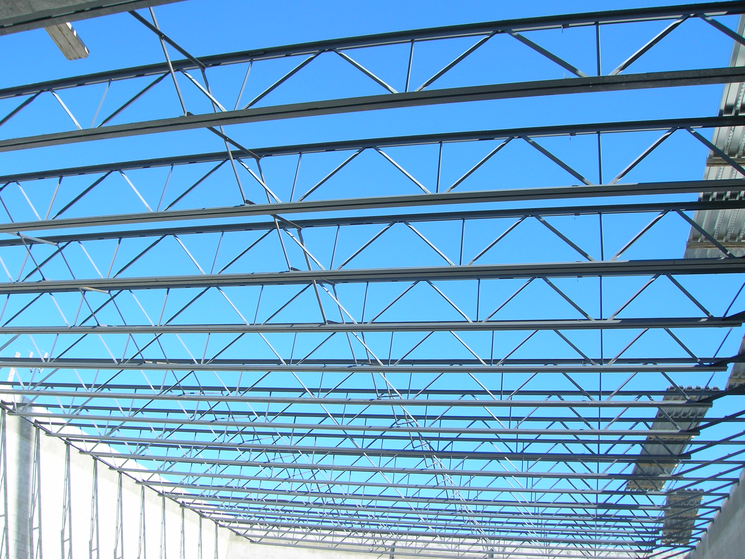 Shepherd of the Coast