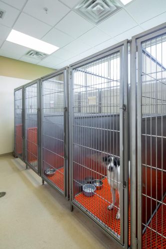 TLC Veterinary Hospital